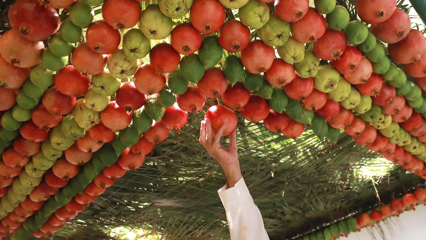 Sukkot Reflection: A Spiritual Strategy for When There’s Nothing New Under the Sun